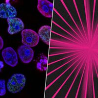 El tratamiento más inesperado contra el cáncer está en la luz LED, y está dando buenos resultados 
