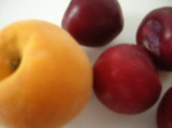 Un libro con base científica sobre alimentos funcionales