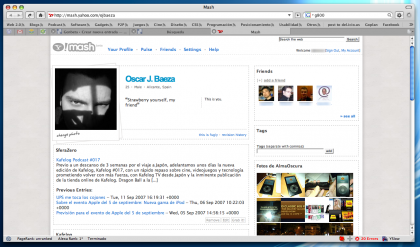 Yahoo! Mash, intentando adelantar a Orkut y cazar a Facebook