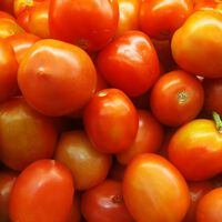 Se você chama tomate de legume, a ciência tem algo a te dizer: você está cometendo um erro básico sobre quase toda a sua salada 