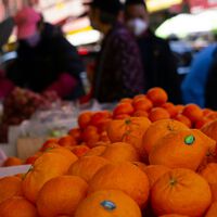 España lleva años perdida en la "crisis de los limones" sin saber cómo escapar de ella. Ahora va a hacerlo de la peor manera posible