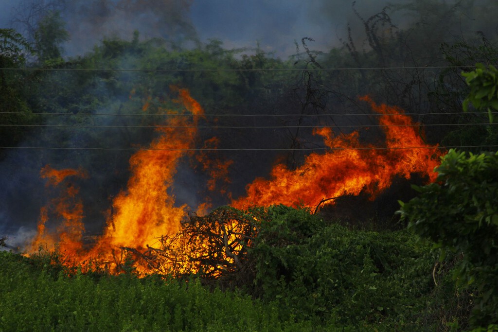 La peor señal de los incendios en España no es que ardan los montes: es que el fuego se está comiendo los cultivos