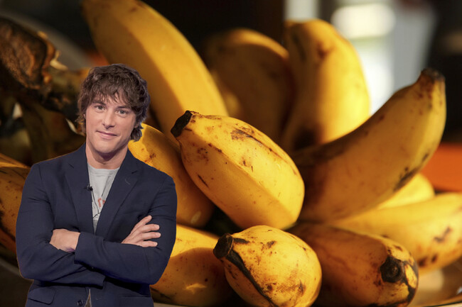 Platanos Jordi Cruz