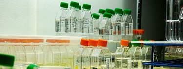 El agua embotellada contiene más plástico del que creemos, y no hablamos únicamente del envase 