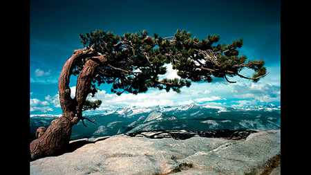 Ansel Adams In Color: la fotografía a color de uno de los genios del paisaje