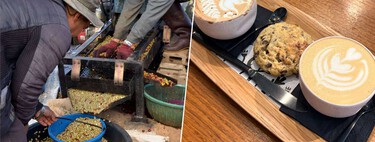 El precio del café vive una de las mayores escaladas de su historia. La ONU piensa que aún no ha pasado lo peor