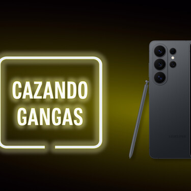 Cazando Gangas