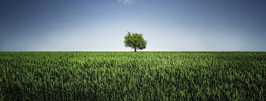 ¿Sabes encajar las críticas? Ante todo mucha calma 