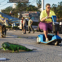 "Explícame cómo has llegado a la conclusión de 'No, no me interesa GTA 6". El dueño de Rockstar no concibe que haya personas que no les interese GTA 6 