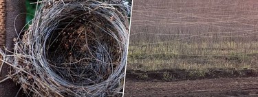 Guerra na Ucrânia está sendo travada, antes de tudo, com drones; e isso está deixando um rastro infinito de fibra óptica 