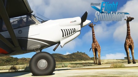 Microsoft Flight Simulator nos muestra la belleza de la fauna animal en un nuevo vídeo
