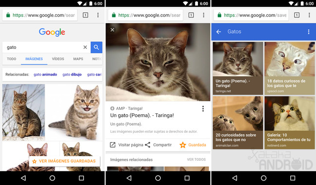 Guardar Imagénes Google