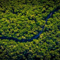 O sudeste do Brasil deveria ser um deserto e só não é por esse único motivo