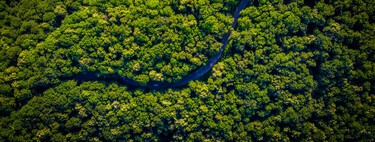 O sudeste do Brasil deveria ser um deserto e só não é por esse único motivo
