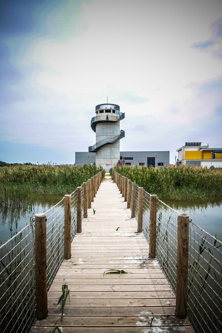 Bosque Senderismo Invierno Playa Naturaleza Cataluna