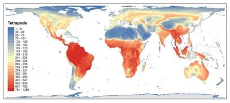 Se completa la primera revisión global y mapa de cada vertebrado sobre la Tierra