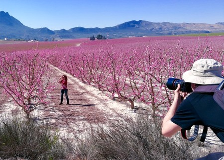 Fotografiando la floración de Cieza