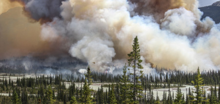 Environmental POTY 2016 destaca las fotografías más impactantes sobre el medio ambiente