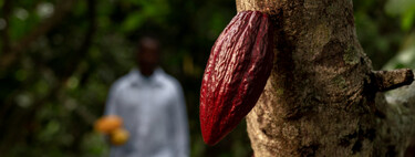 Ante la inaudita subida del precio del cacao, la industria tiene una fácil solución: tus chocolatinas tendrán menos chocolate 