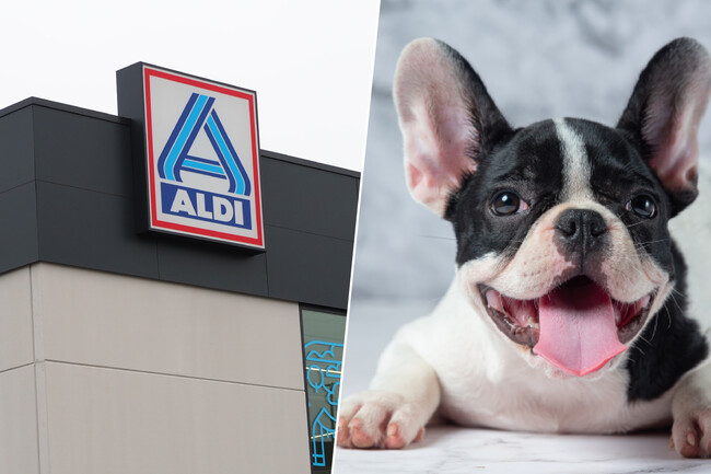 Alfombra Refrigerante Perros Aldi