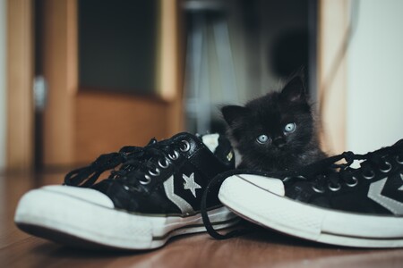 Las mejores ofertas de zapatillas hoy: Adidas, Puma y Nike más baratas