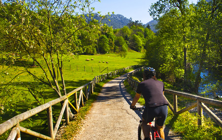 Senda del Oso Asturias