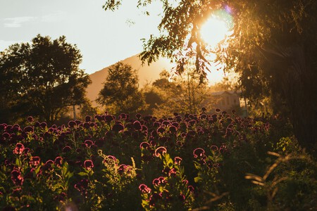 Escapa de la lluvia y visita este paraíso en Hidalgo, donde hay balnearios, naturaleza y deliciosa comida