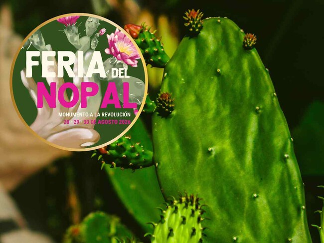 Nopal en tacos, tamales y hasta postres: así será la Feria del Nopal 2026 en el Monumento a la Revolución