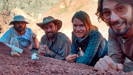 450_1000 230 millones de años capturados en un fósil prehistórico: la ciencia argentina tiene en sus manos un dinosaurio de cuello largo casi completo