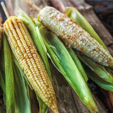 Este es el destino turístico de México donde crecen los elotes más grandes del mundo: qué comer y qué visitar