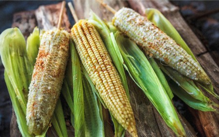 Este es el destino turístico de México donde crecen los elotes más grandes del mundo: qué comer y qué visitar