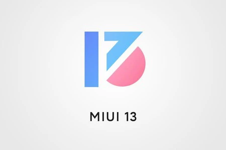 ミウイ13
