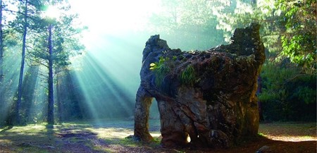 El Cielo Tamaulipas Piedra 550