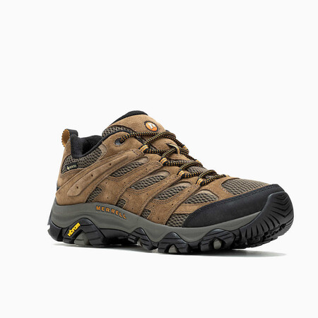 Merrellmoab3bis