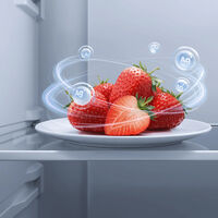 Fabrica hielo antibacteriano, ultracongela y tiene un sistema dual independiente: el nuevo frigorífico Xiaomi incluso controla la pérdida de la humedad 