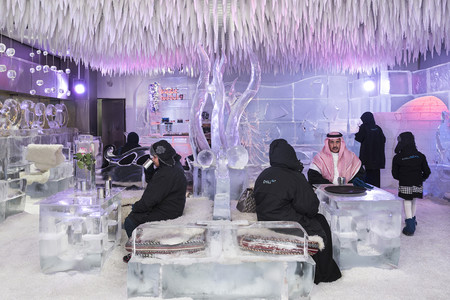 Nick Hannes es el ganador del '2018 Zeiss Photography Award' con su serie ‘Garden of Delight’ sobre Dubai