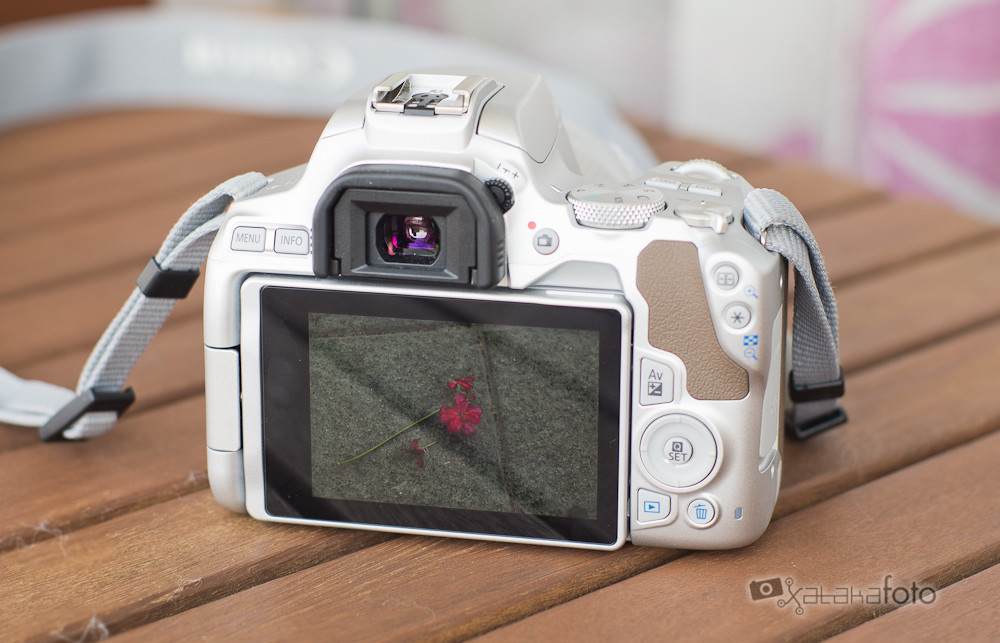 Canon EOS 250D, análisis review con características, precio y