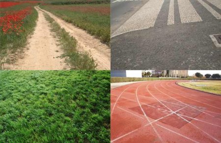 Adivina adivinanza: ¿cuál es la superficie menos lesiva para nuestras piernas al practicar carrera?