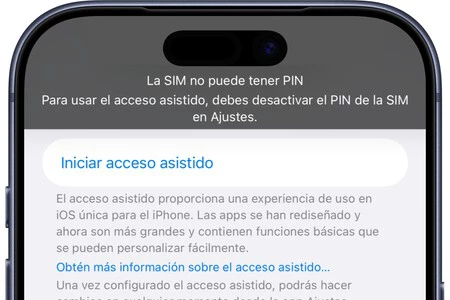 Sim Pin