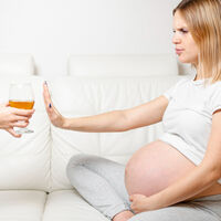 Cero alcohol en el embarazo: su consumo se relaciona con muerte fetal tardía y anomalías neurológicas irreversibles 