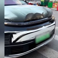 Un conductor chino convierte el capó de su coche en una pecera y se hace viral: le están lloviendo las críticas en redes sociales por crueldad animal 