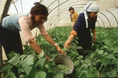 ¿Las mujeres del medio rural son inútiles?
