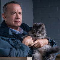 Tom Hanks dice que los Oscar no necesitan un premio para las actuaciones de voz: "podrían ganar en la categoría de mejor actor" 