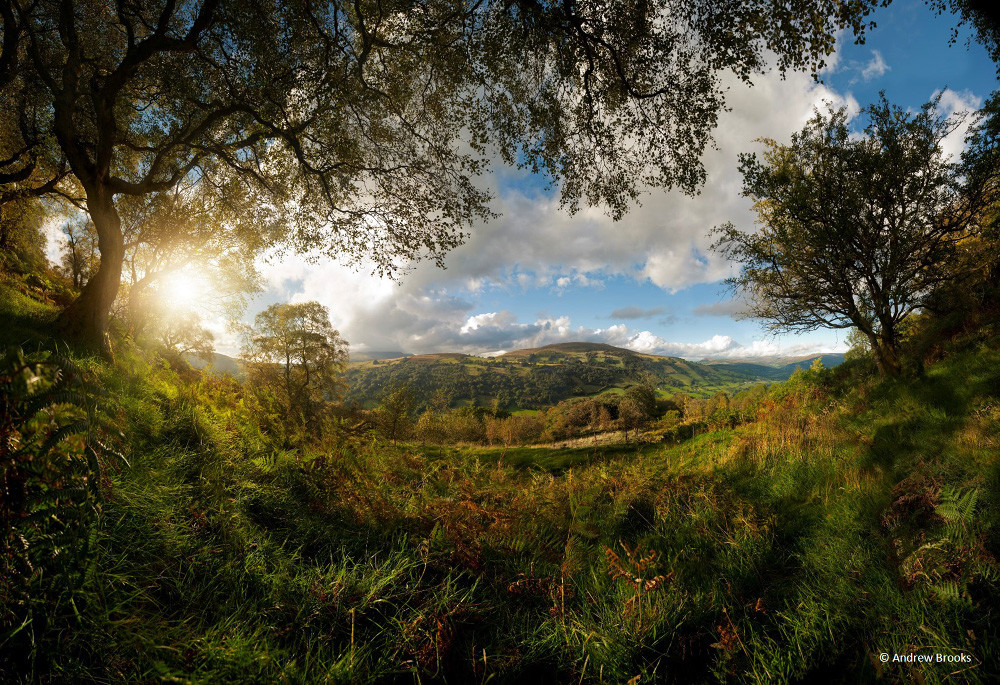 Finalista: Andrew Brooks con ‘Towards the end of a days walking in and around Dyffryn Crawnon in the Brecon Beacons’: