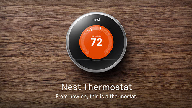Nest Google
