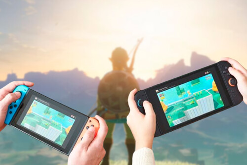 Nintendo game share