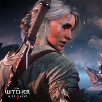 Todos los logros y trofeos de The Witcher 3: Wild Hunt 