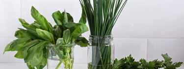 Este truco hace que las hierbas aromáticas duren mucho más en la nevera: es muy sencillo y solo necesitas papel de cocina