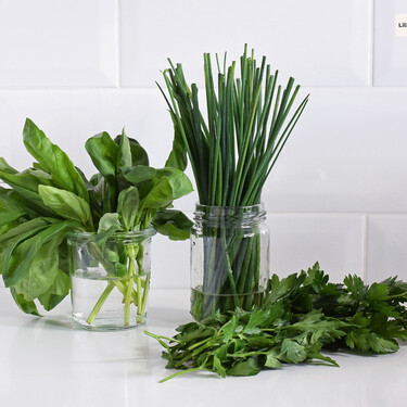 Papel de cocina y una bolsa: lo único que necesitas para que las hierbas aromáticas duren mucho más en la nevera