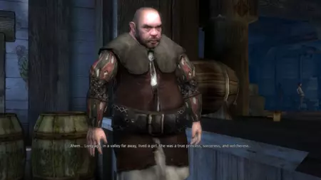 The Witcher The Witcher